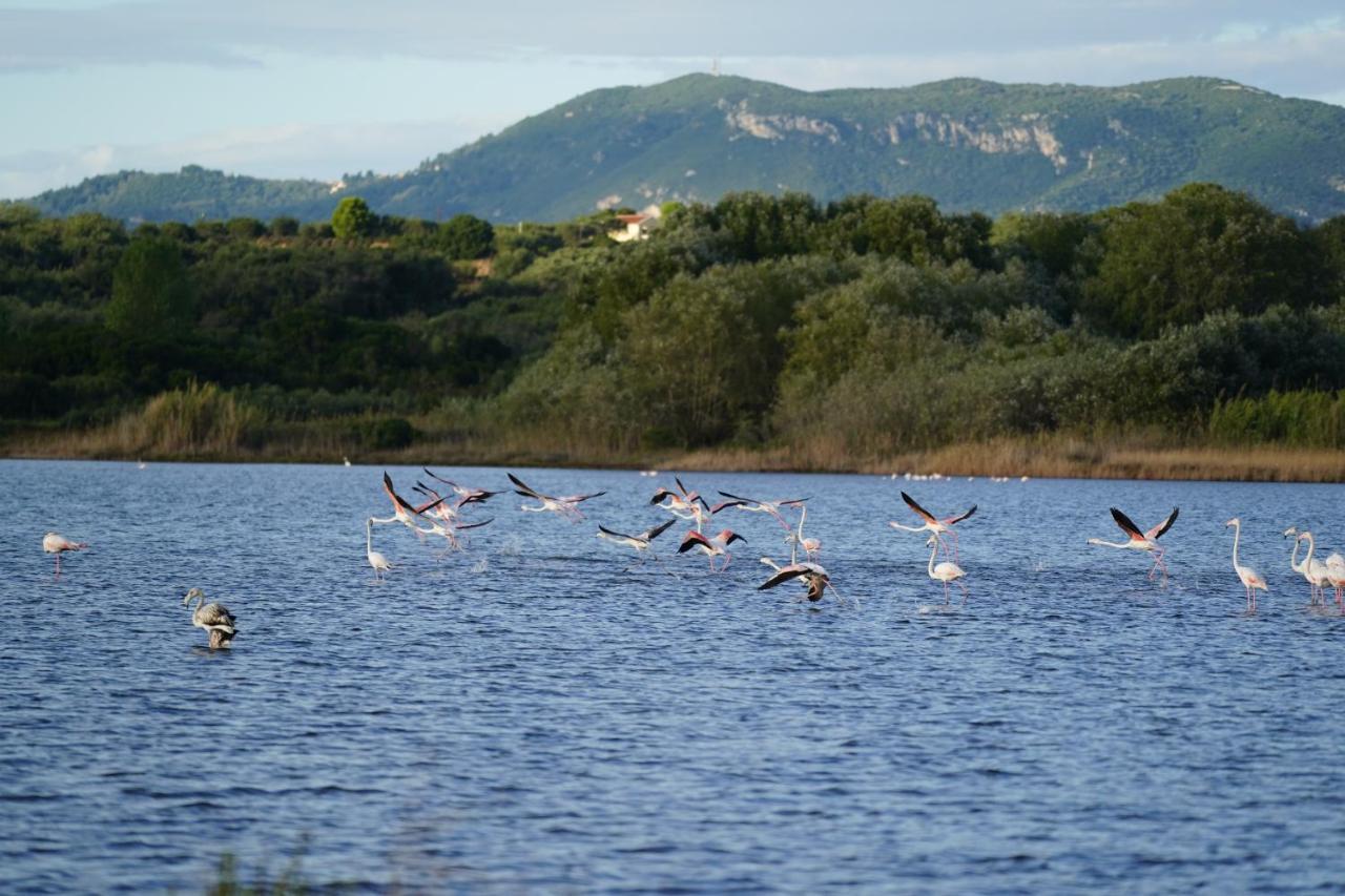 Stefanias Prasoudi Beach Ágios Matthaíos Exteriér fotografie
